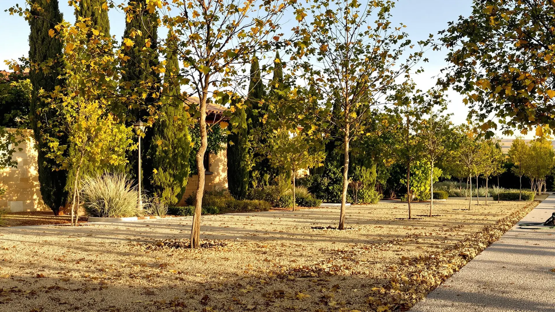 Árboles jóvenes recién plantados en otoño en un jardín de Toledo con suelo calizo y paisaje de la llanura castellana al fondo