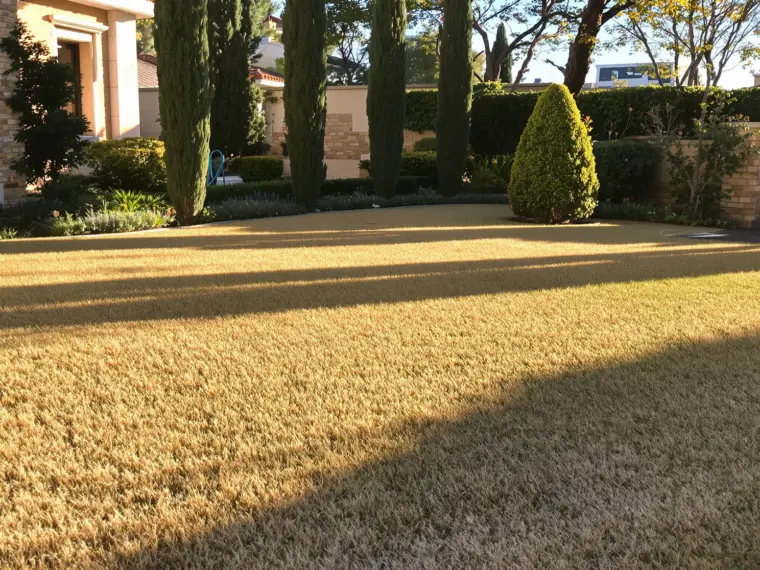 Jardín en Toledo con césped en recuperación otoñal, parches verdes junto a zonas secas antes de resembrar
